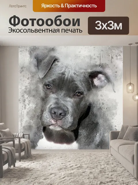 Фотообои Питбуль собака