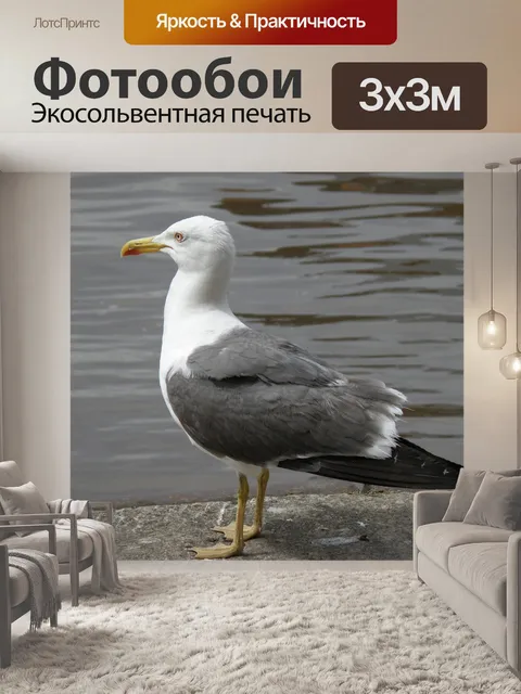 Фотообои Птица