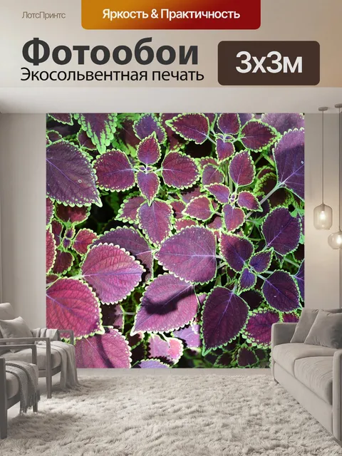 Фотообои Лист текстуры