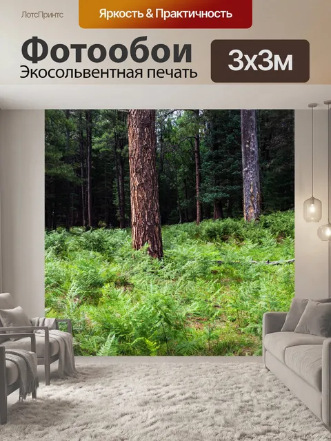Фотообои лес