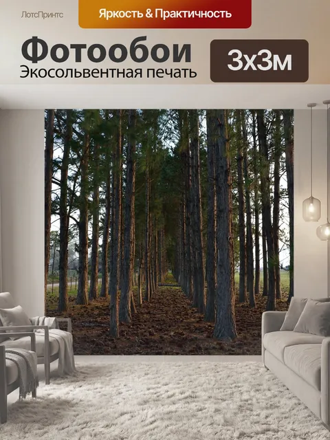 Фотообои Лес
