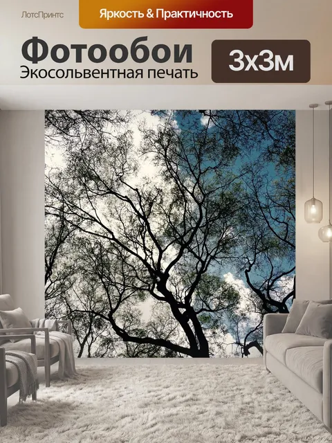 Фотообои Глядя вверх