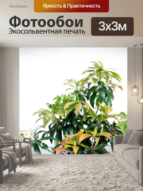 Фотообои Зеленые растения