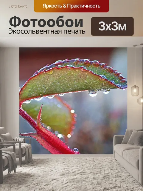 Фотообои Листья