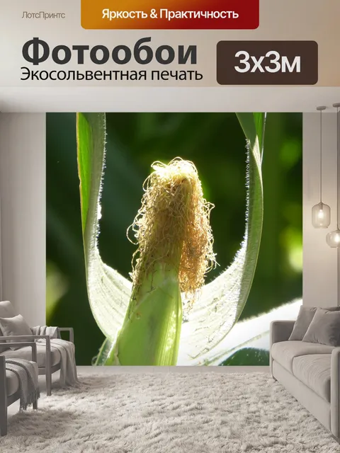 Фотообои Кукуруза Angel