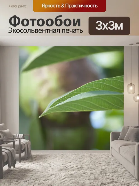 Фотообои Листья