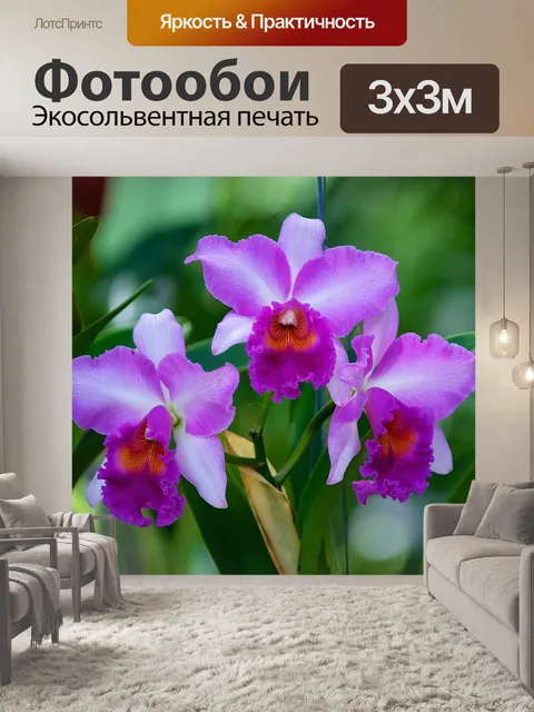 Фотообои Цветы