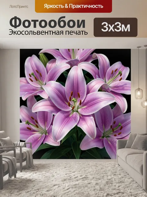 300 × 300 см · Экосольвентная печать