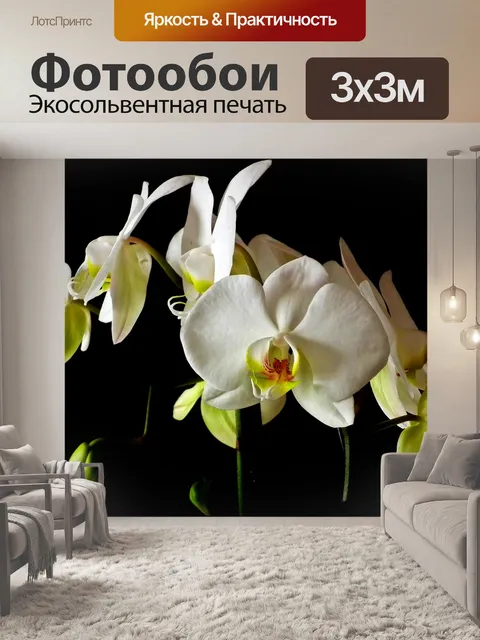 Фотообои Орхидеи