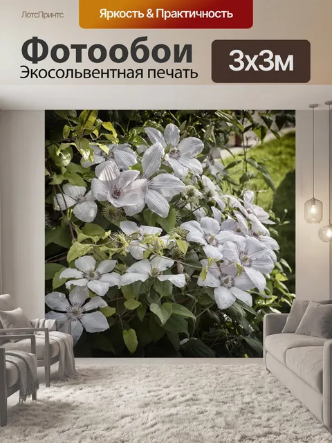 Фотообои Цветы