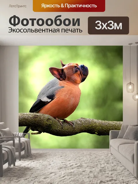 Фотообои Птица