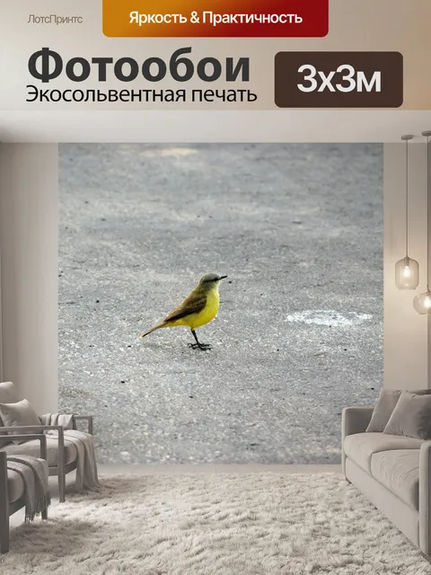 Фотообои Птица