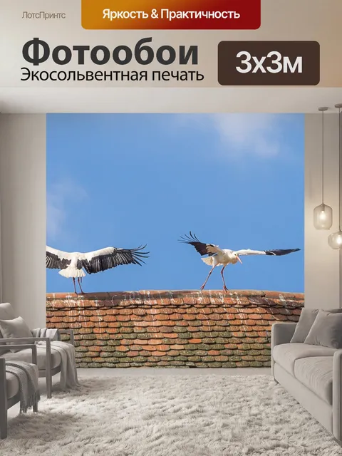Фотообои Аист