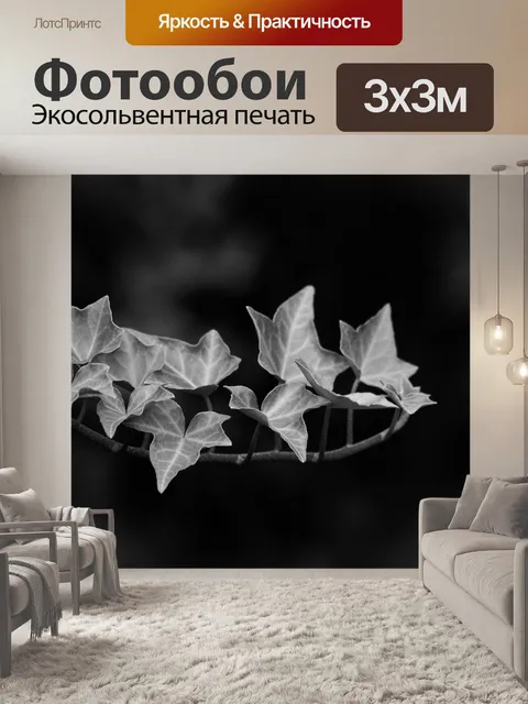 Фотообои Листья
