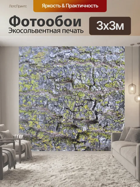 Фотообои Кора дерева текстура 37