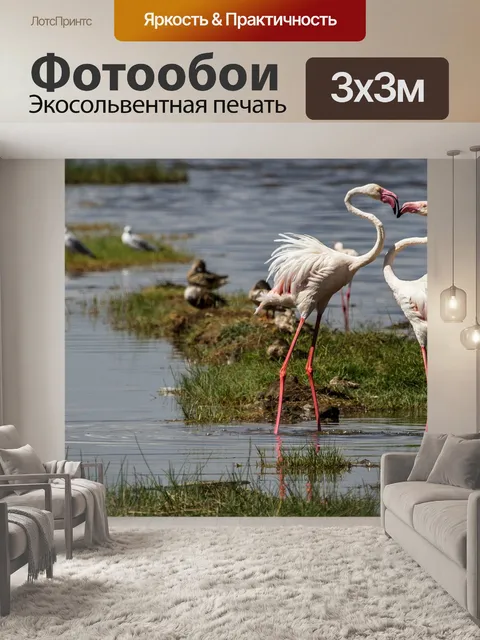 Фотообои Фламинго
