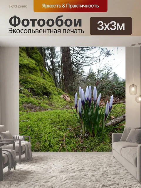 Фотообои весенние цветы