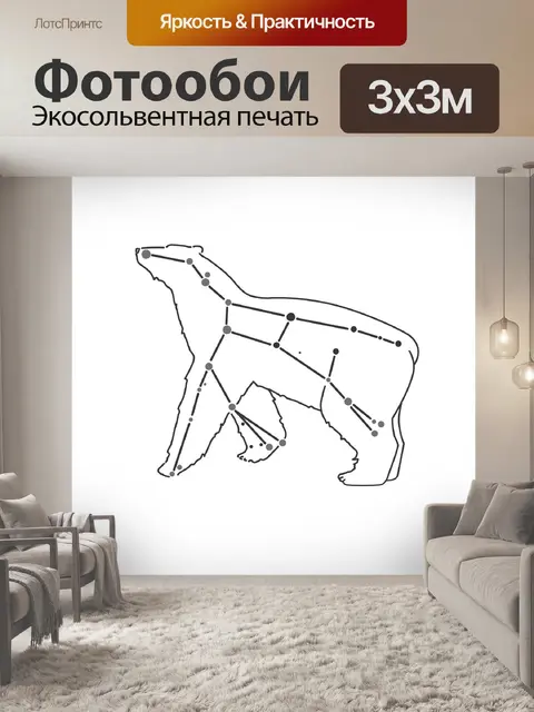 Фотообои Медведица