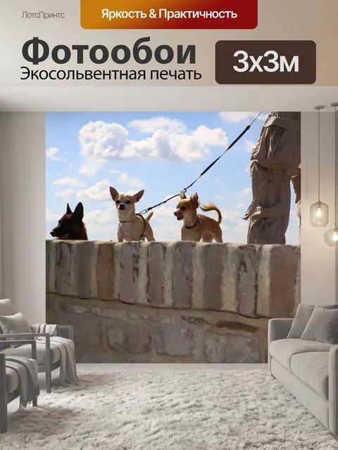 Фотообои Собаки