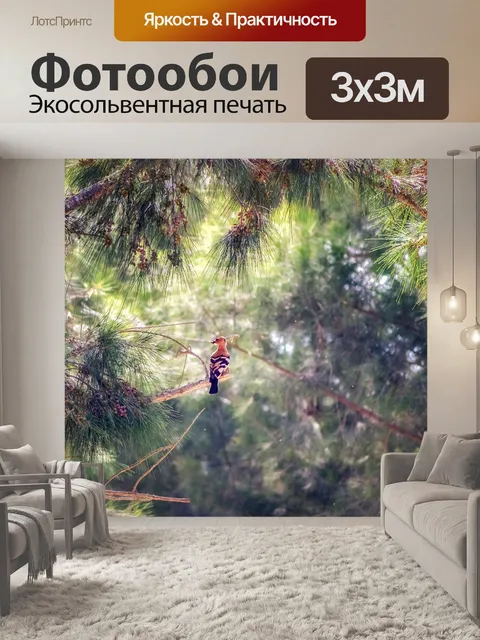 Фотообои Лес
