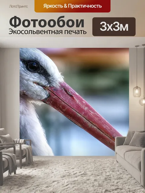 Фотообои Аист