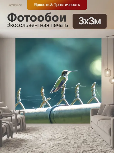 Фотообои Колибри