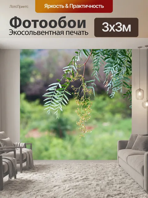 Фотообои листья и цветы на перечном дереве