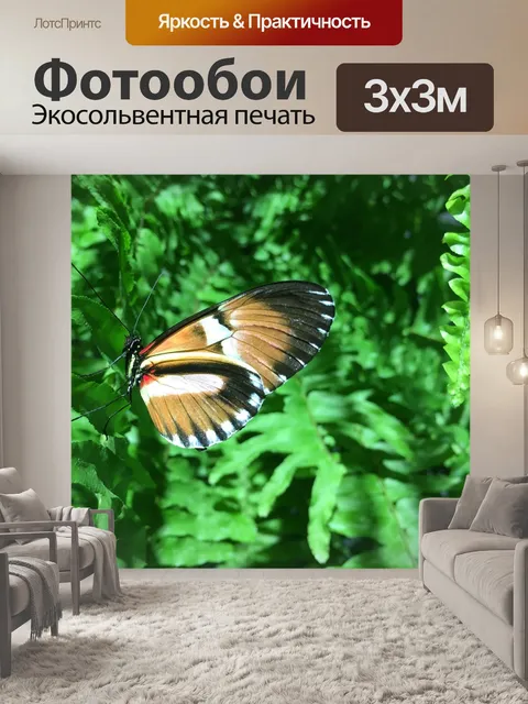 Фотообои Бабочка