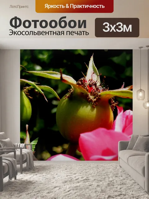 Фотообои Плоды шиповника