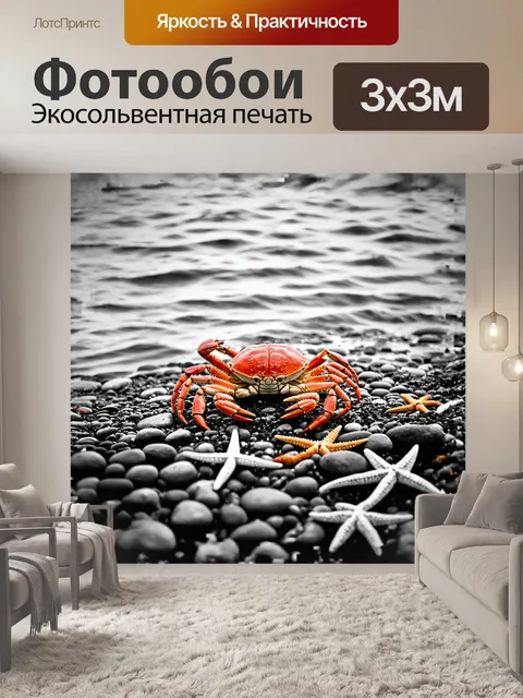 Фотообои краб, отдыхая на берегу, расположен между множеством морских звезд и ярких водорослей