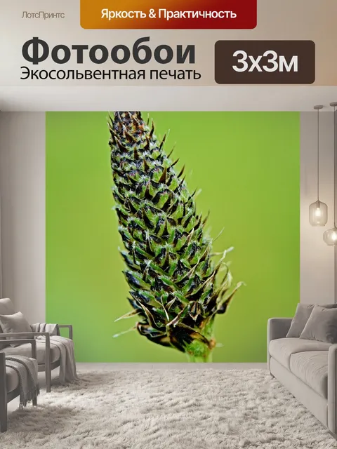 Фотообои Природа