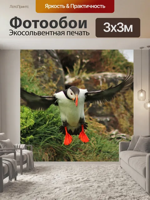 Фотообои Птица
