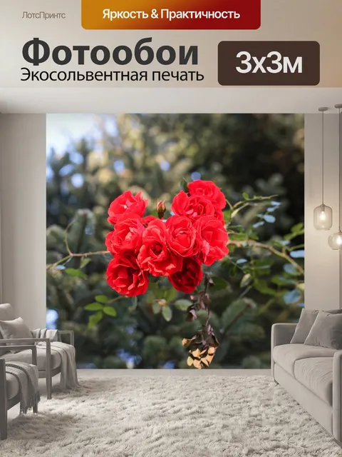 Фотообои Розы