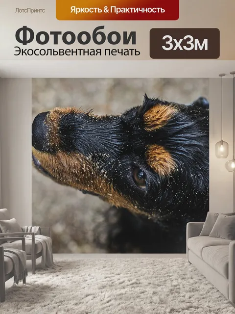 Фотообои Собака