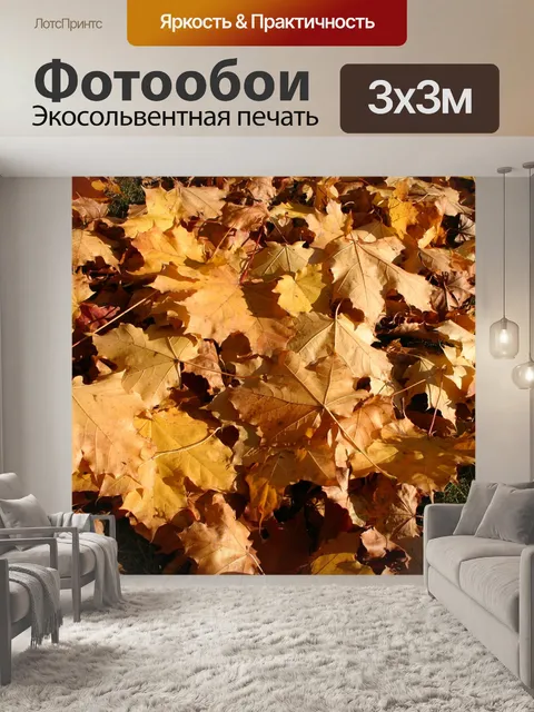 Фотообои Парк