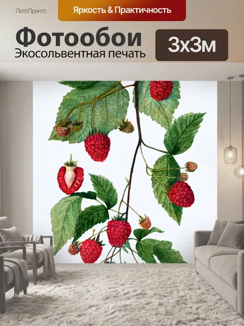 Фотообои Малина фрукты винтаж искусство