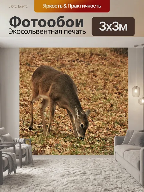 Фотообои Молодой олень в листьях