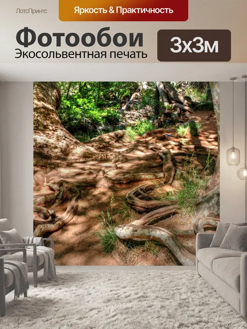 Фотообои Открытые корни деревьев
