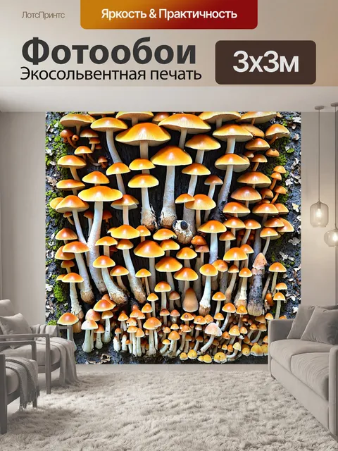 Фотообои грибы микология: мозаика из грибов различных форм и цветов
