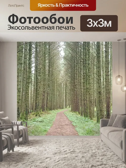 Фотообои Путь в лес