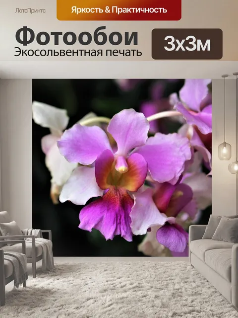 Фотообои Сингапур
