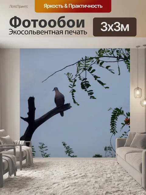 Фотообои Птица