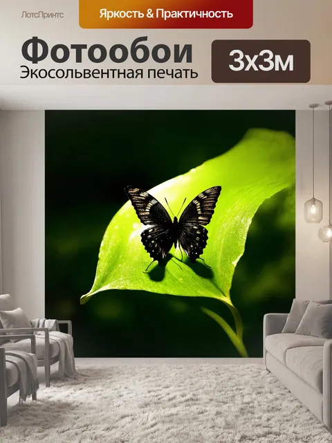 Фотообои нежная, черная бабочка с пятнистыми крыльями на гладком, зеленом листе, освещенная мягким, лунным светом…