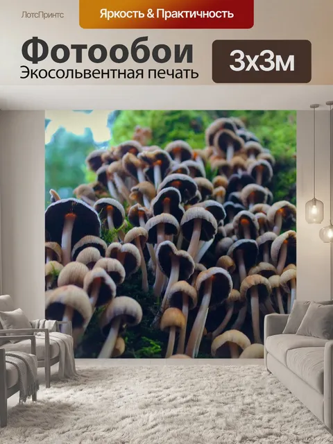 Фотообои Грибы