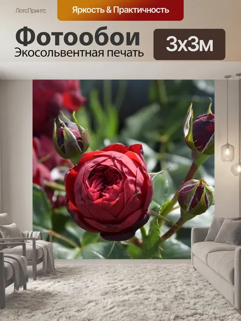 Фотообои Розы