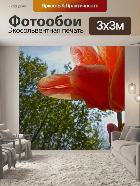 Фотообои Тюльпан