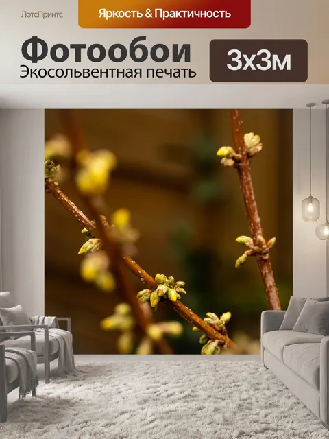 Фотообои Цветы