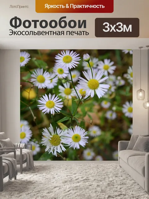 Фотообои Луг