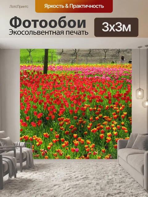 Фотообои Поле цветов