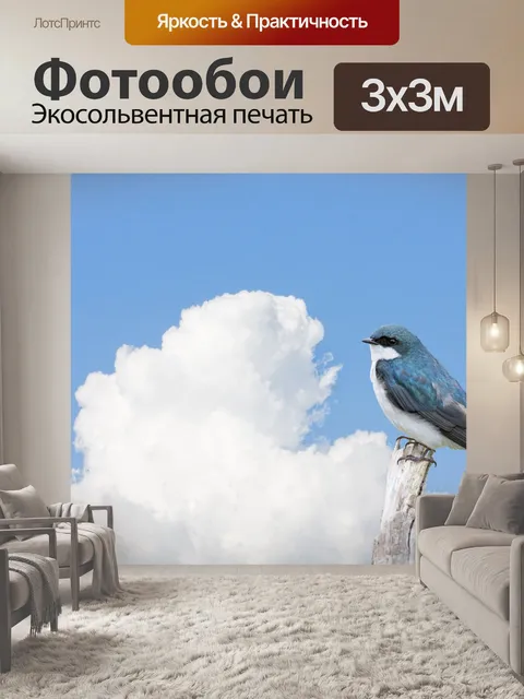 Фотообои Птица с голубым небом
